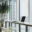 Outsourcing Insights